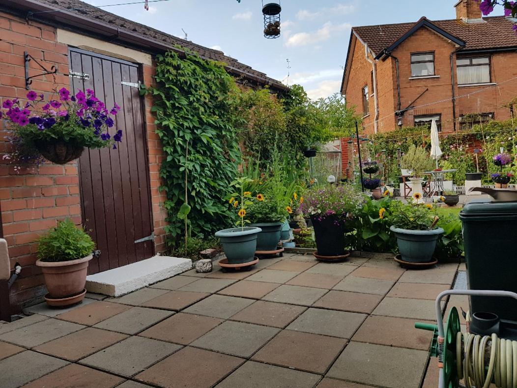 Cead Mile Failte West Séjour chez l'habitant Belfast